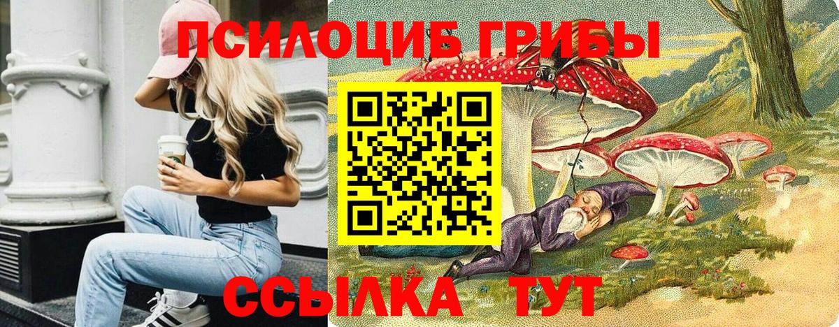цена наркотик  Псилоцибиновые грибы MAGIC MUSHROOMS  Галлюциногенные грибы прущие грибы  Вход с VPN  Краснокамск 