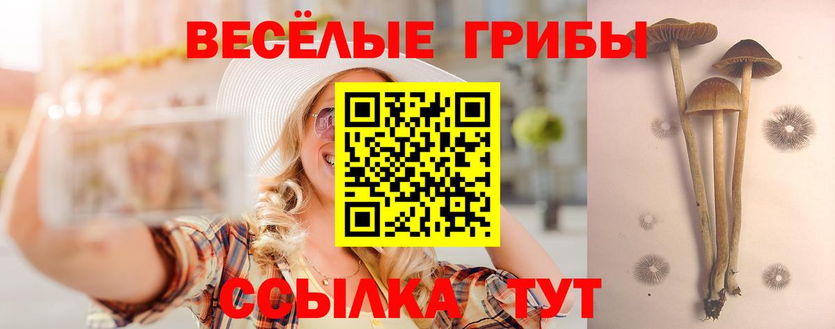 Псилоцибиновые грибы мухоморы Краснокамск